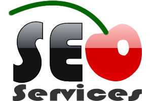 بهینه سازی وب سایت